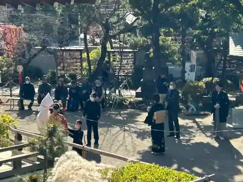鳩森八幡神社(東京都)