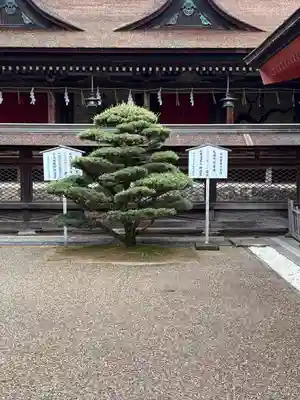 住吉神社(山口県)