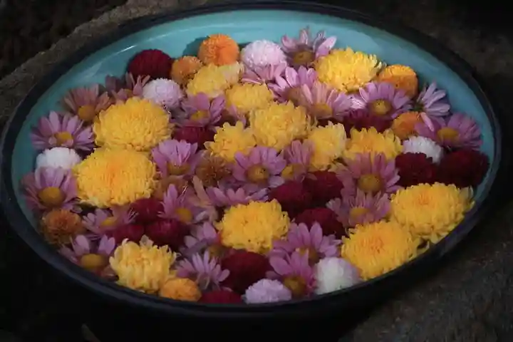 大鏑神社の手水舎