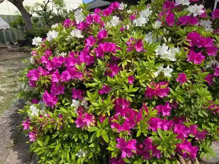王子白髭神社(東京都)