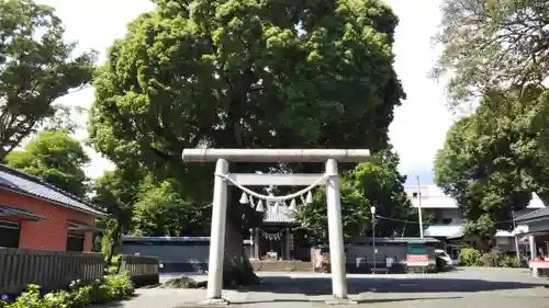 日吉浅間神社の鳥居