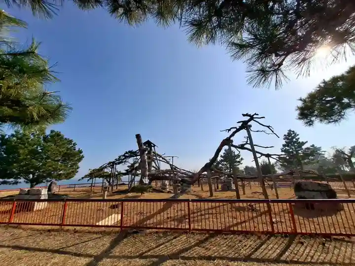 唐崎神社(滋賀県)