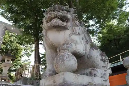 安積國造神社の狛犬