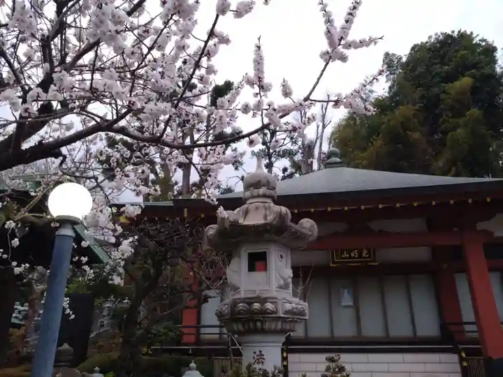 浄土宗 光明山 大蓮寺(照曜会館)(神奈川県)