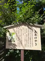 溝口神社(神奈川県)