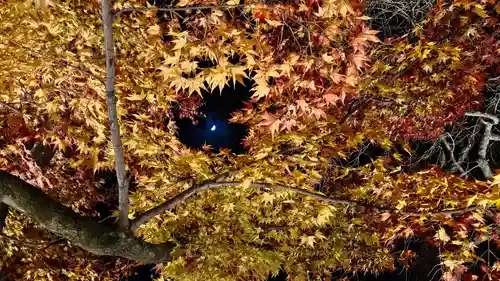 宝厳院(京都府)