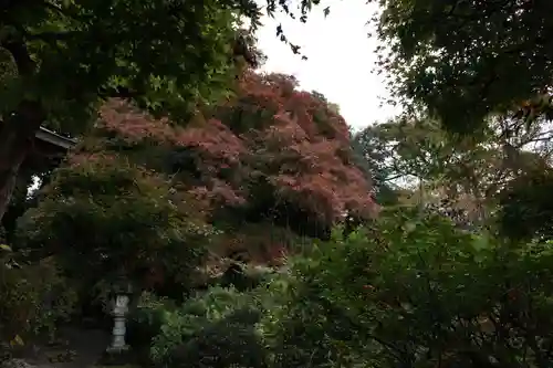 岩之上堂の景色