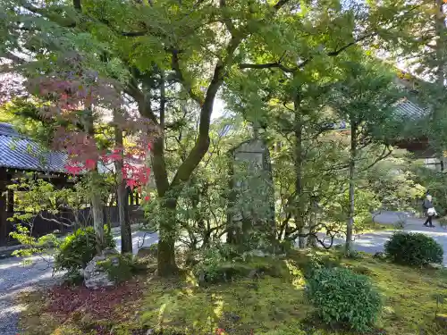 真正極楽寺（真如堂）(京都府)