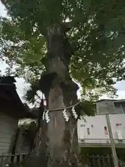 竹駒神社(宮城県)