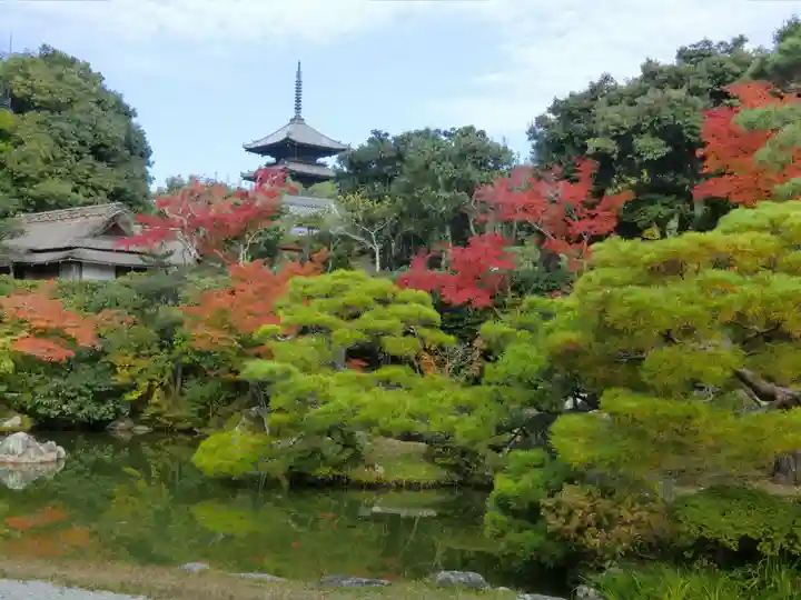 仁和寺(京都府)