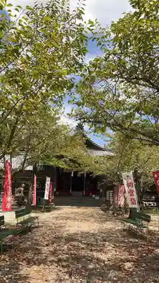 櫻八幡神社(大分県)