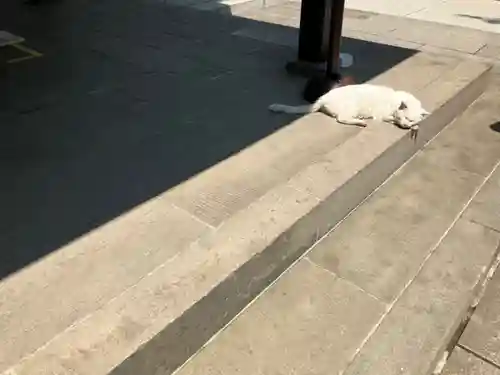 愛宕神社(東京都)