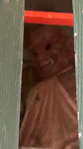 珠宮山 宝積坊　置賜第三十番札所(山形県)