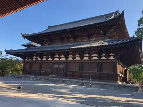 東寺（教王護国寺）の本殿・本堂