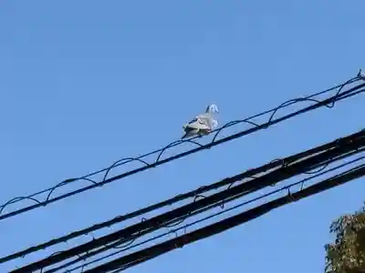 下総国三山　二宮神社(千葉県)