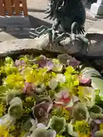 立志神社の手水舎