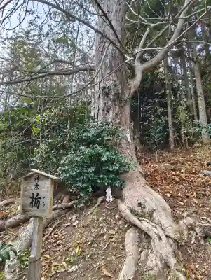早馬神社の{uncategorized: "未分類", other: "その他", undefined: "問題あり", building: "その他建物", grave: "お墓", sacred_gate: "鳥居", guardian: "狛犬", statue: "像", buddha: "仏像", history: "歴史", nature: "自然", garden: "庭園", animal: "動物", pagoda: "塔", temizu: "手水舎", mountain_gate: "山門・神門", sanctuary: "本殿・本堂", subordinate: "末社・摂社", art: "芸術", scenery: "景色", jizo: "地蔵", ema: "絵馬", goshuin: "御朱印", omikuji: "おみくじ", items: "授与品その他", amulet: "お守り", goshuincho: "御朱印帳", eats: "食事", festival: "お祭り", votive_dance: "神楽", shichigosan: "七五三参", wedding: "結婚式", experience: "体験その他", initially: "初詣", around: "周辺", anti_infection: "感染症対策"}