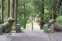 阿久津「田村神社」(郡山市阿久津町)旧社名:伊豆箱根三嶋三社の狛犬