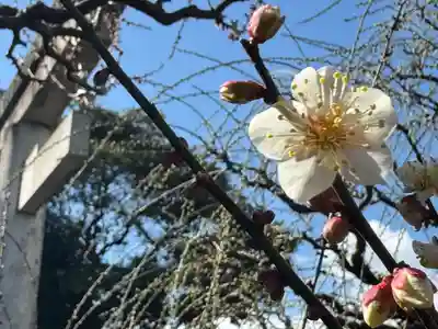 結城神社(三重県)
