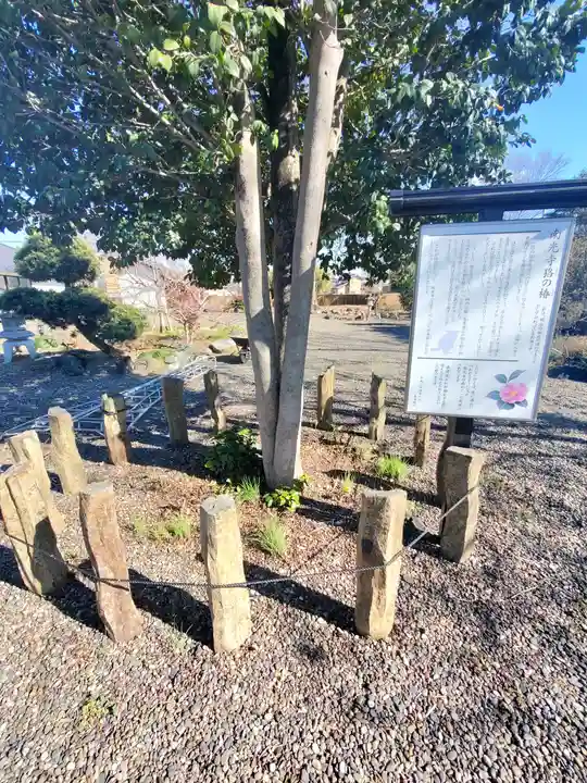 佛修山南光寺(群馬県)