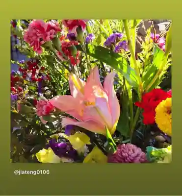 滑川神社 - 仕事と子どもの守り神の手水舎