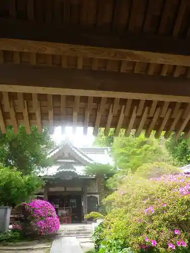 安養院　(田代寺）の本殿・本堂