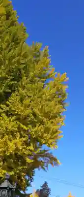 熊野大社(山形県)