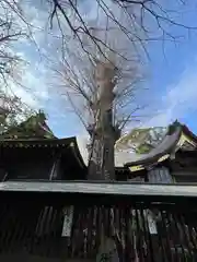 麻賀多神社(千葉県)