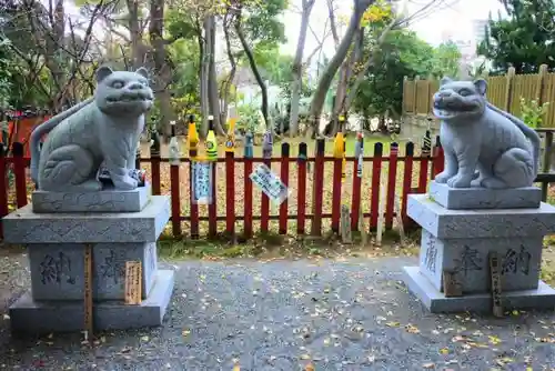 大江神社の狛犬