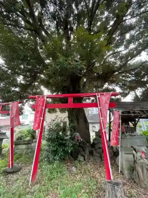 西森稲荷大明神(神奈川県)