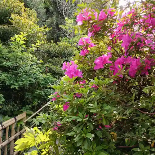 白金氷川神社(東京都)