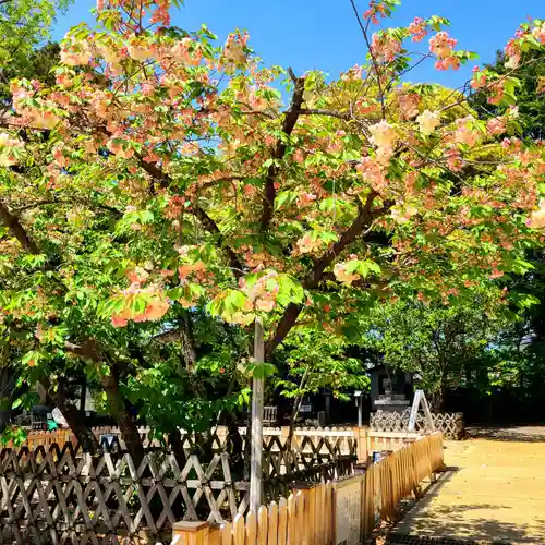 上地八幡宮の庭園