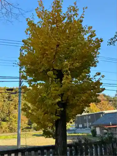 天神社(静岡県)
