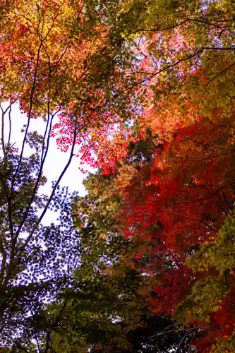 大矢田神社(岐阜県)