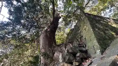 新羅神社(徳島県)