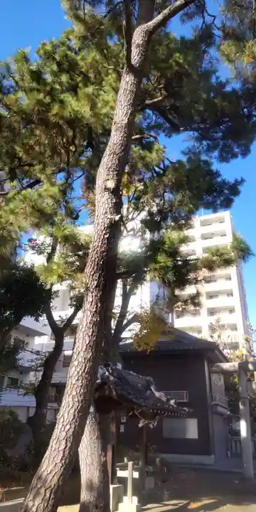 竹塚神社(東京都)