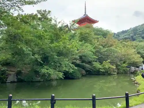 清水寺の庭園