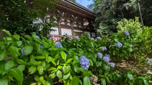  智積院(京都府)