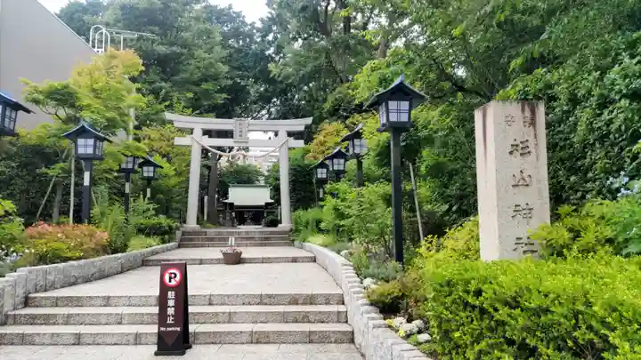 星川杉山神社(神奈川県)
