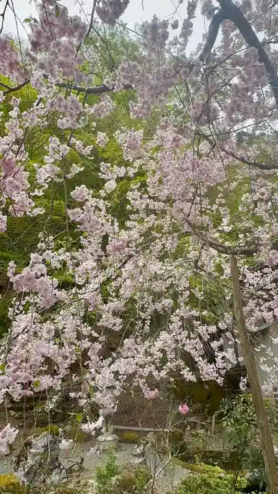 慈眼寺(京都府)