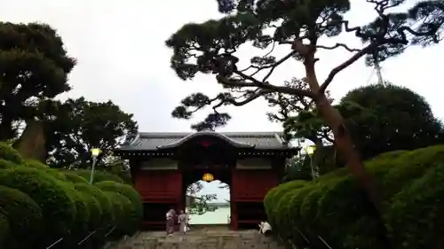 護国寺の山門・神門