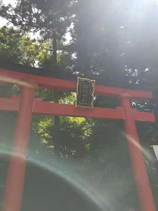 箱根神社(神奈川県)