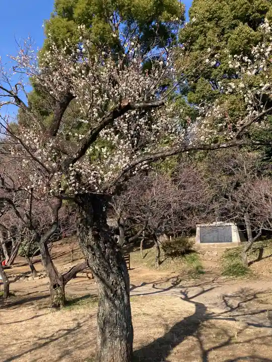 谷保天満宮(東京都)