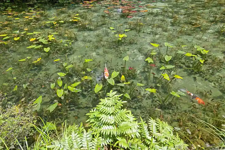 根道神社(岐阜県)
