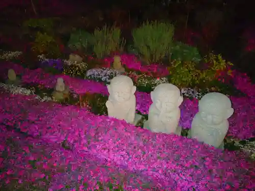 寿量山　速成寺(奈良県)