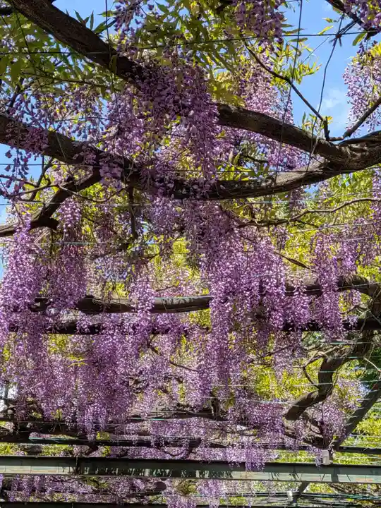 國領神社(東京都)