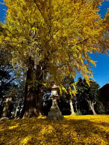 三栖神社(京都府)