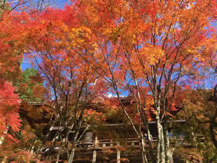播州清水寺の自然