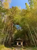 天照神社の自然