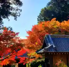 普門寺(切り絵御朱印発祥の寺)(愛知県)